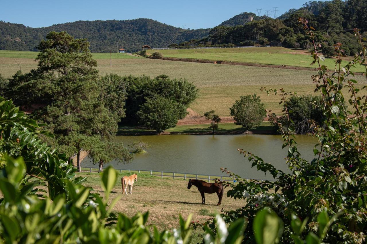 Maison Terroir Bragança Paulista Exteriör bild